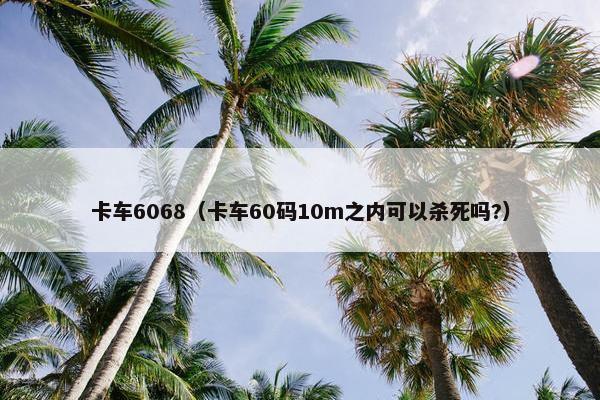 卡车6068（卡车60码10m之内可以杀死吗?）