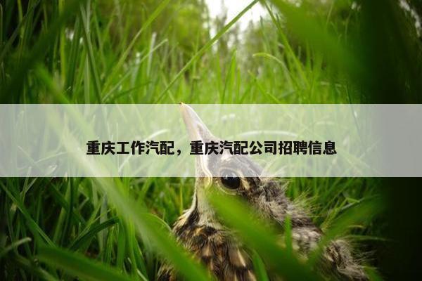 重庆工作汽配，重庆汽配公司招聘信息