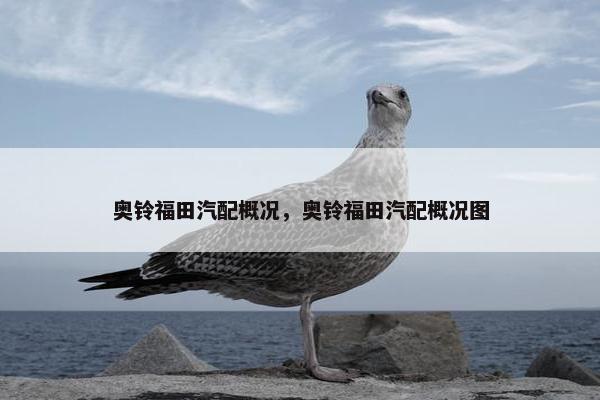 奥铃福田汽配概况，奥铃福田汽配概况图