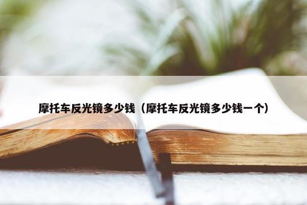 摩托车反光镜多少钱（摩托车反光镜多少钱一个）