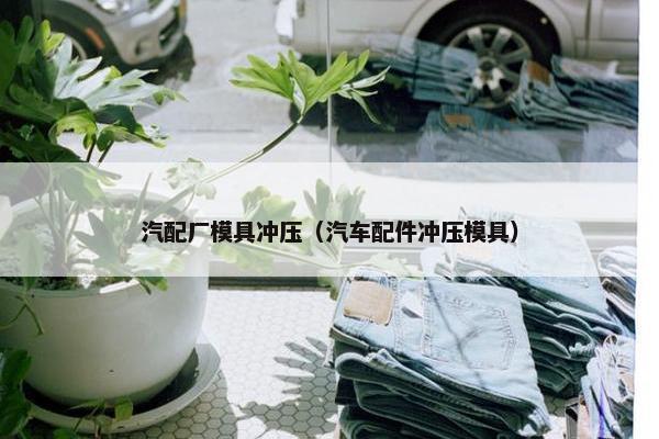 汽配厂模具冲压（汽车配件冲压模具）