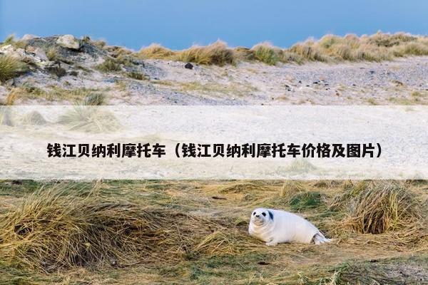 钱江贝纳利摩托车（钱江贝纳利摩托车价格及图片）