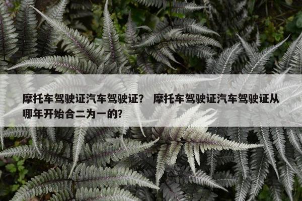 摩托车驾驶证汽车驾驶证？ 摩托车驾驶证汽车驾驶证从哪年开始合二为一的？