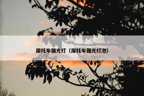 摩托车强光灯（摩托车强光灯泡）