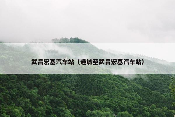 武昌宏基汽车站（通城至武昌宏基汽车站）
