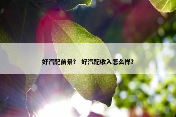 好汽配前景？ 好汽配收入怎么样？