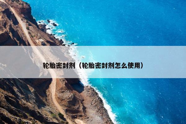 轮胎密封剂（轮胎密封剂怎么使用）