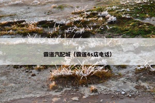 霸道汽配城（霸道4s店电话）