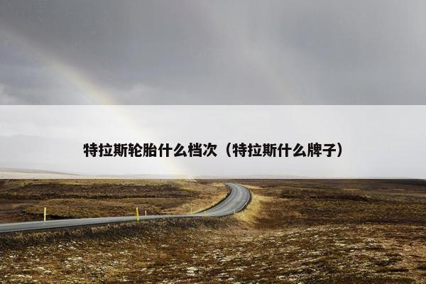 特拉斯轮胎什么档次（特拉斯什么牌子）