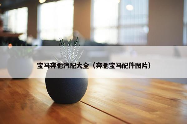 宝马奔驰汽配大全（奔驰宝马配件图片）