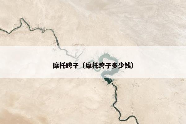 摩托跨子（摩托跨子多少钱）