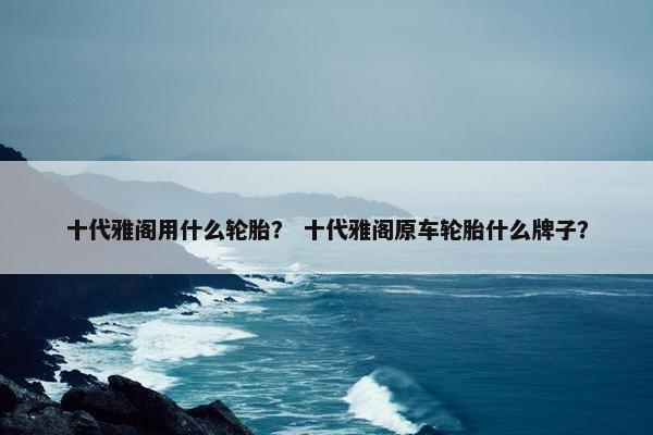 十代雅阁用什么轮胎？ 十代雅阁原车轮胎什么牌子？