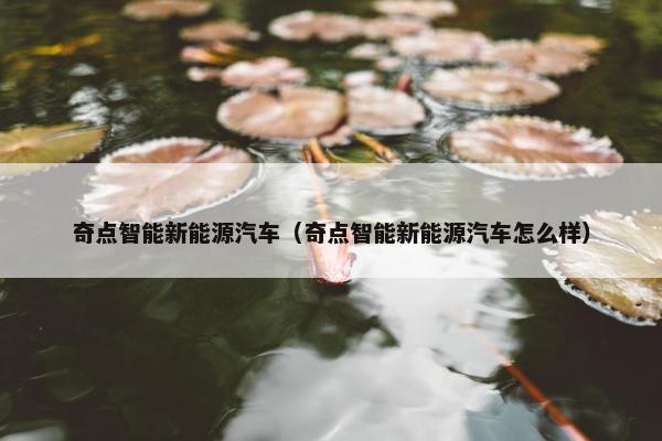 奇点智能新能源汽车（奇点智能新能源汽车怎么样）