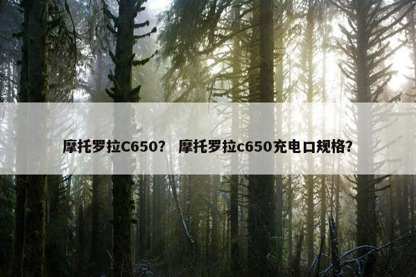 摩托罗拉C650？ 摩托罗拉c650充电口规格？