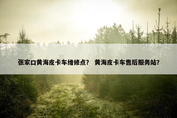 张家口黄海皮卡车维修点？ 黄海皮卡车售后服务站？
