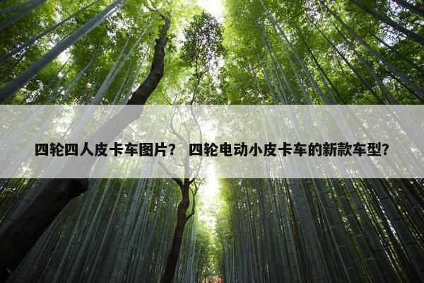 四轮四人皮卡车图片？ 四轮电动小皮卡车的新款车型？