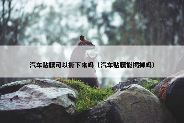 汽车贴膜可以撕下来吗（汽车贴膜能揭掉吗）