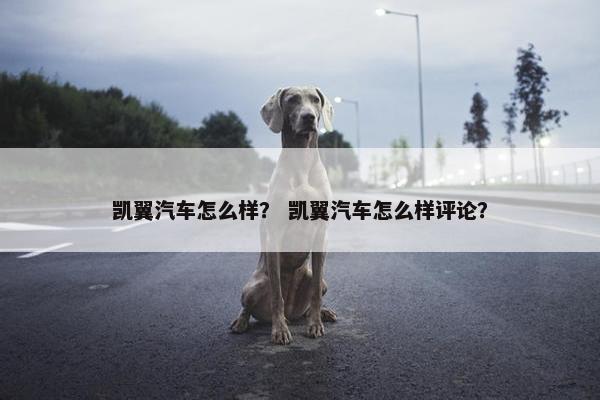 凯翼汽车怎么样？ 凯翼汽车怎么样评论？