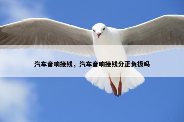 汽车音响接线，汽车音响接线分正负极吗