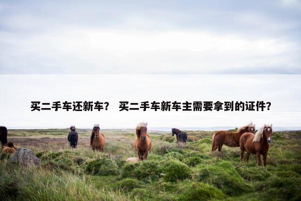 买二手车还新车？ 买二手车新车主需要拿到的证件？