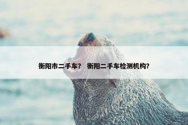 衡阳市二手车？ 衡阳二手车检测机构？