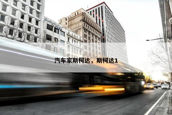 汽车家斯柯达，斯柯达1