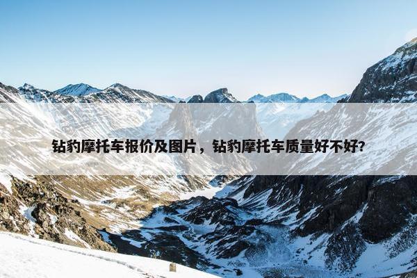 钻豹摩托车报价及图片，钻豹摩托车质量好不好?
