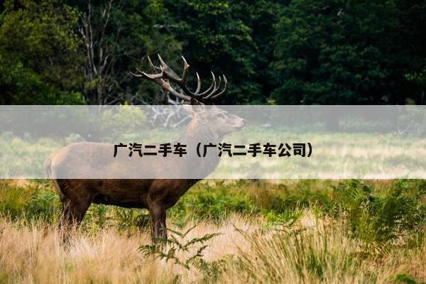 广汽二手车（广汽二手车公司）
