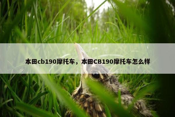 本田cb190摩托车，本田CB190摩托车怎么样