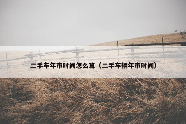 二手车年审时间怎么算（二手车辆年审时间）