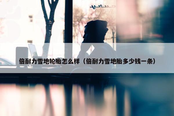 倍耐力雪地轮胎怎么样（倍耐力雪地胎多少钱一条）