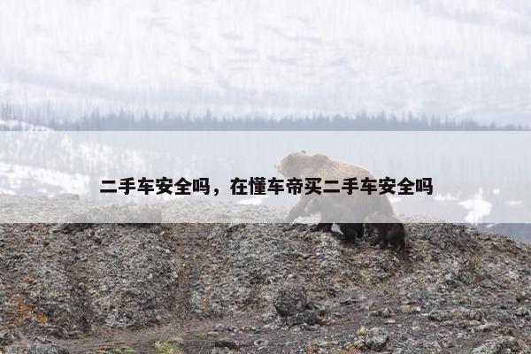二手车安全吗，在懂车帝买二手车安全吗