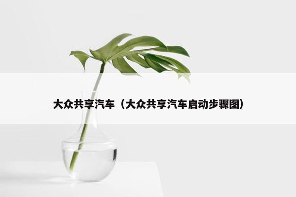 大众共享汽车（大众共享汽车启动步骤图）