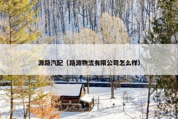 源路汽配（路源物流有限公司怎么样）