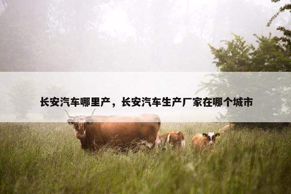 长安汽车哪里产，长安汽车生产厂家在哪个城市
