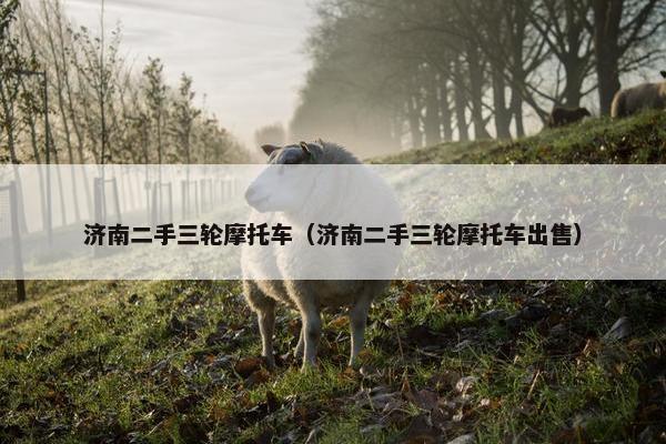 济南二手三轮摩托车（济南二手三轮摩托车出售）