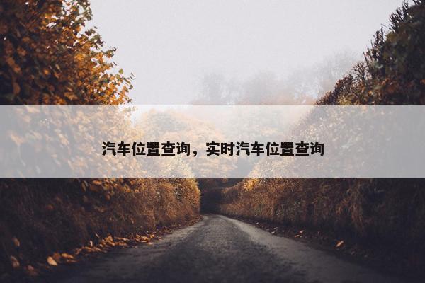 汽车位置查询，实时汽车位置查询