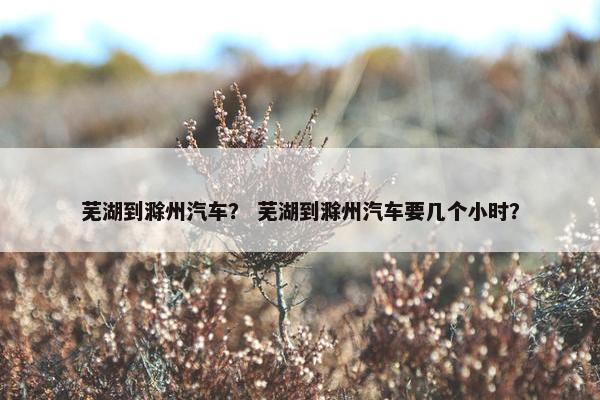 芜湖到滁州汽车？ 芜湖到滁州汽车要几个小时？