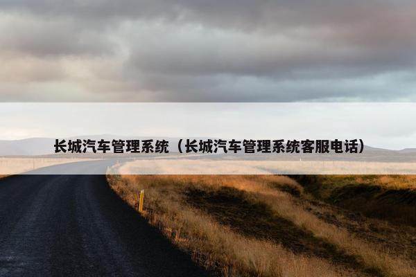 长城汽车管理系统（长城汽车管理系统客服电话）