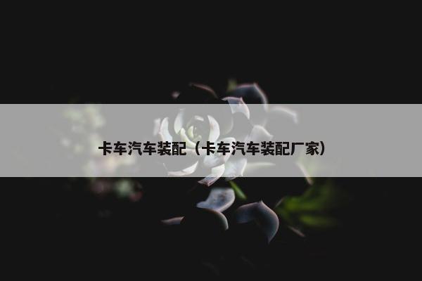 卡车汽车装配（卡车汽车装配厂家）