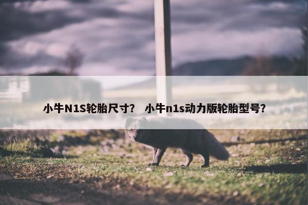 小牛N1S轮胎尺寸？ 小牛n1s动力版轮胎型号？