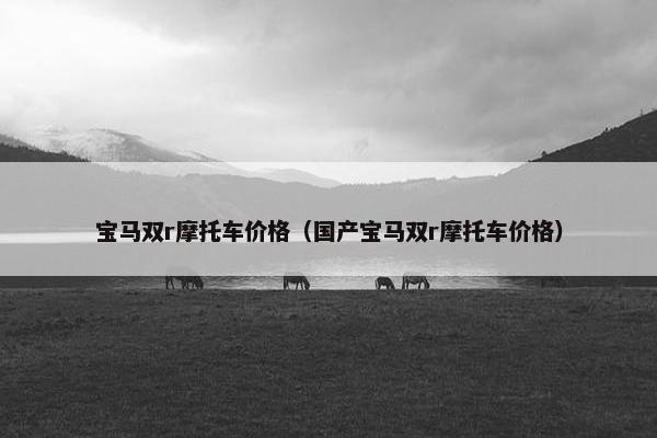 宝马双r摩托车价格（国产宝马双r摩托车价格）