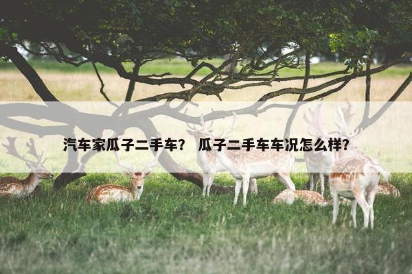 汽车家瓜子二手车？ 瓜子二手车车况怎么样？
