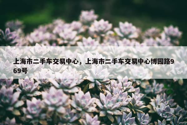 上海市二手车交易中心，上海市二手车交易中心博园路969号