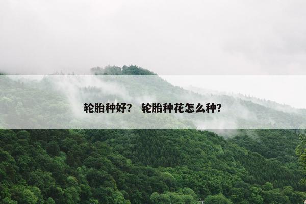 轮胎种好？ 轮胎种花怎么种？