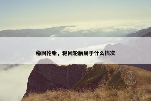 稳固轮胎，稳固轮胎属于什么档次