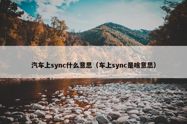 汽车上sync什么意思（车上sync是啥意思）
