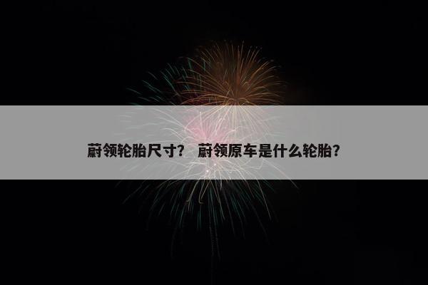蔚领轮胎尺寸？ 蔚领原车是什么轮胎？