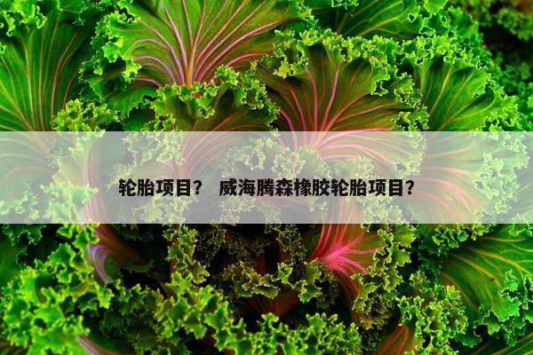轮胎项目？ 威海腾森橡胶轮胎项目？