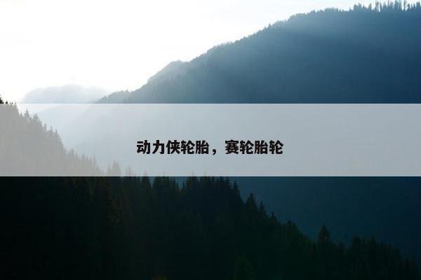 动力侠轮胎，赛轮胎轮